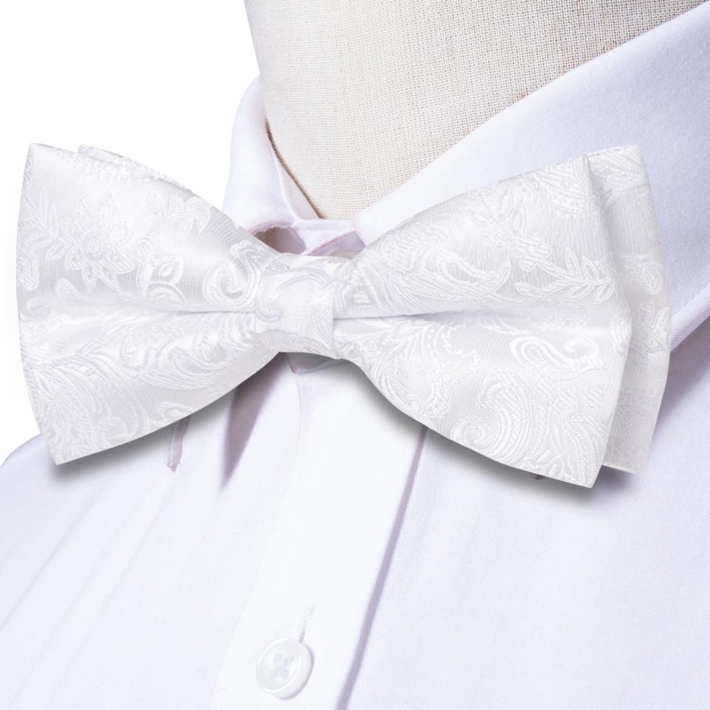 Set Cravatta a Farfalla, Fazzo - Bow Tie Pre Tied recensione e prezzo